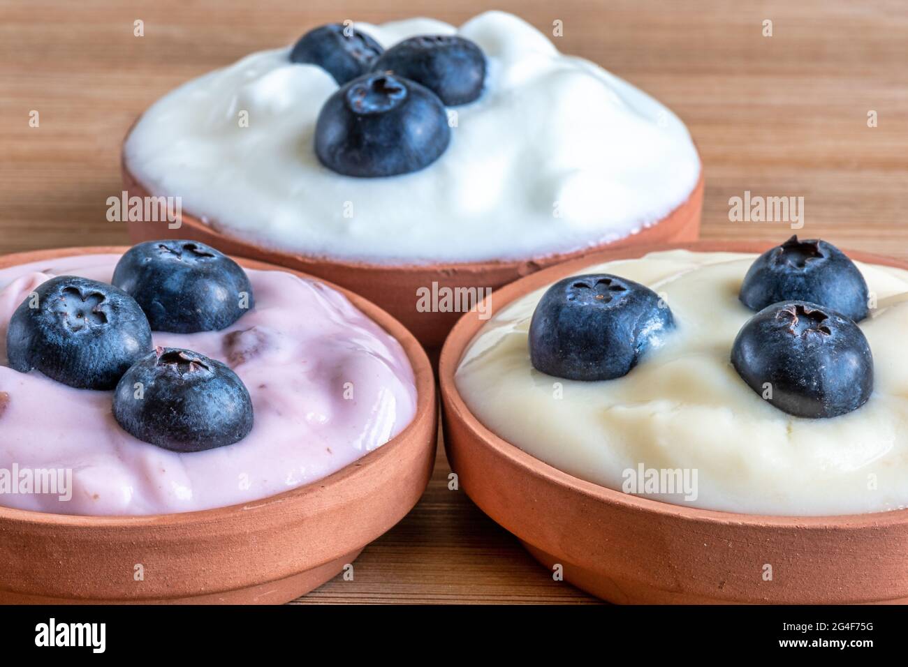 Varieties of yogurt with blueberries. Healthy eating concept Stock Photo