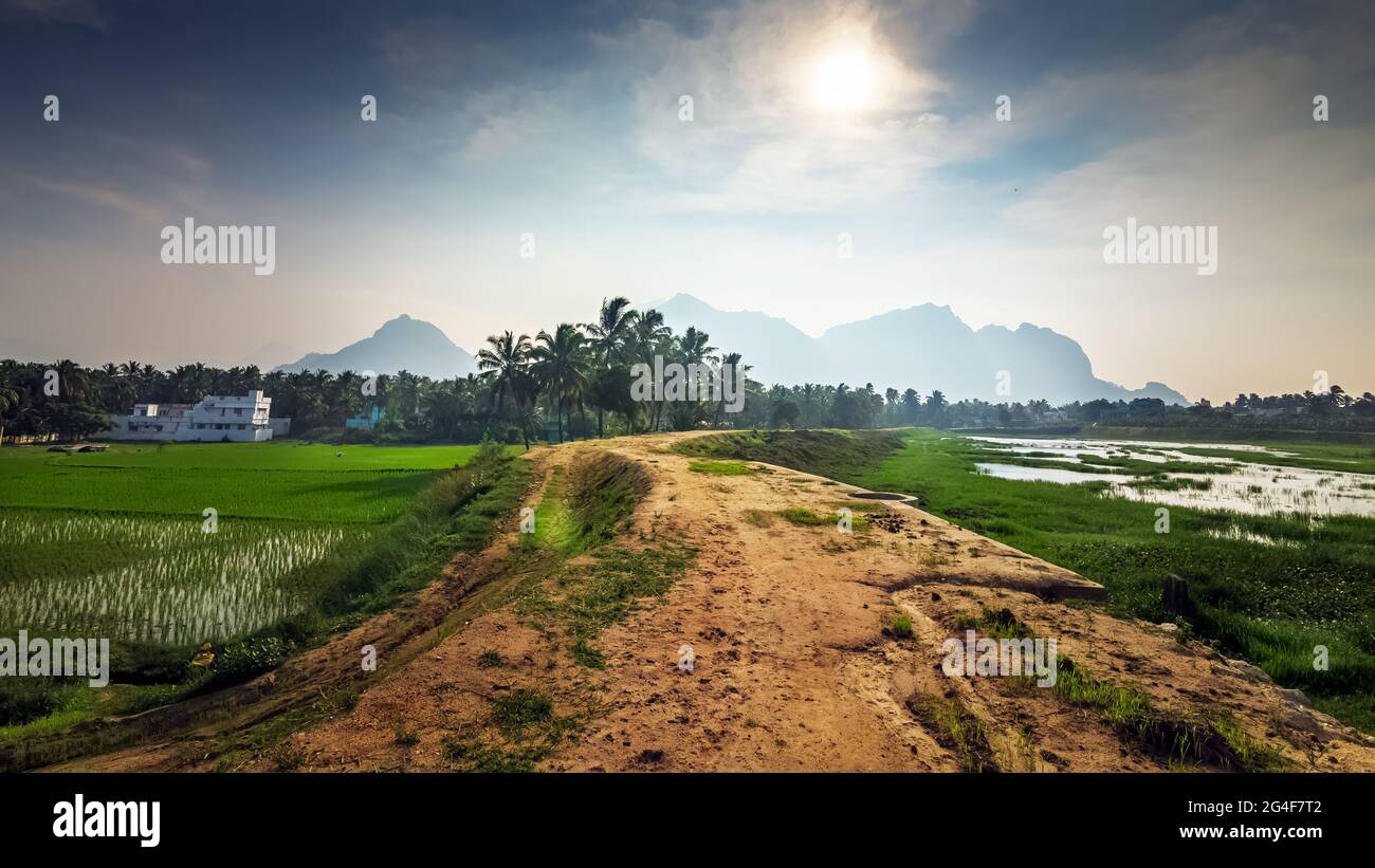 Forest in tamil nadu hi-res stock photography and images - Alamy