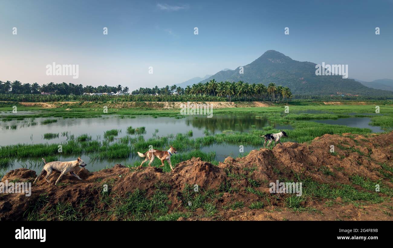 Beautiful landscape with mountain and blue sky background in Nagercoil. Tamil Nadu, South India. Stock Photo