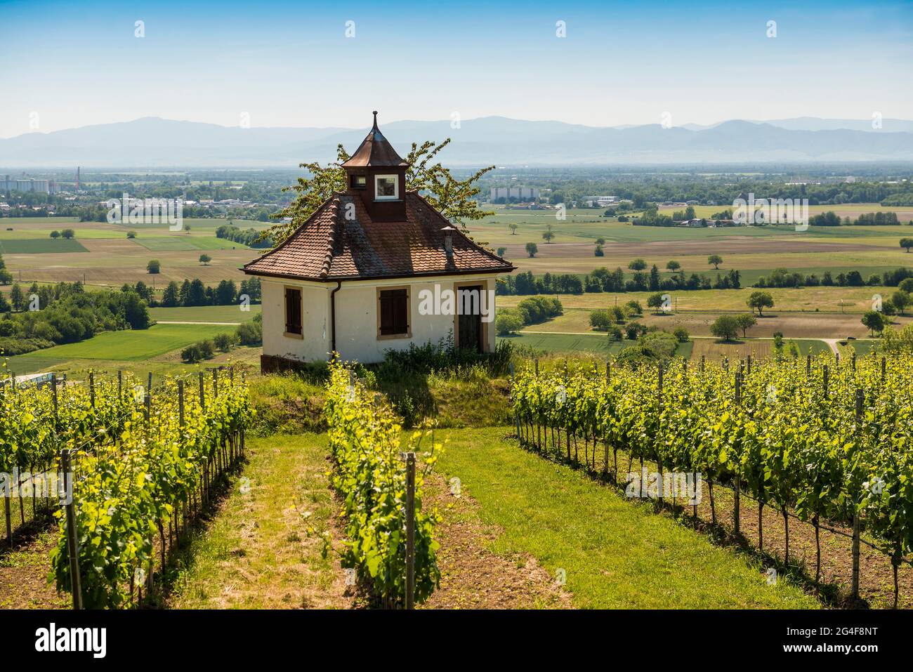 Rhine plain hi-res stock photography and images - Alamy