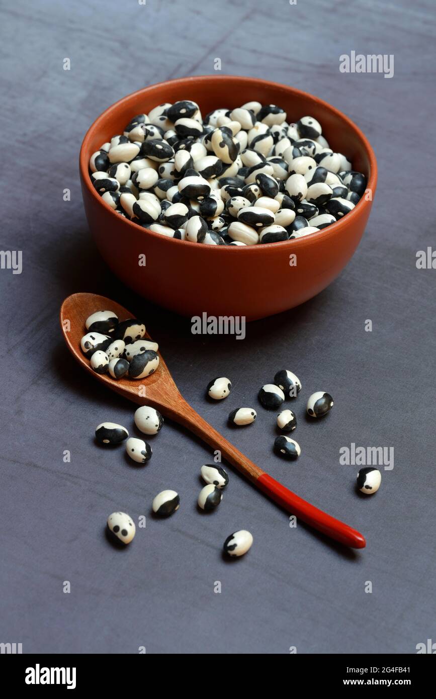 Dried beans in shell with spoon, Yin Yang beans, Germany Stock Photo