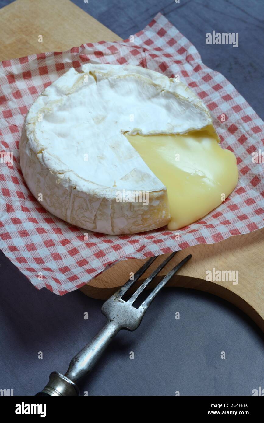 French Camembert, sliced soft cheese, Germany Stock Photo