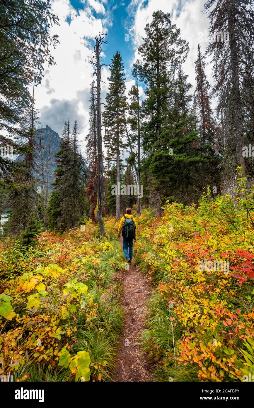 Hikers on a trail through brush in fall colors, hiking to Upper Two