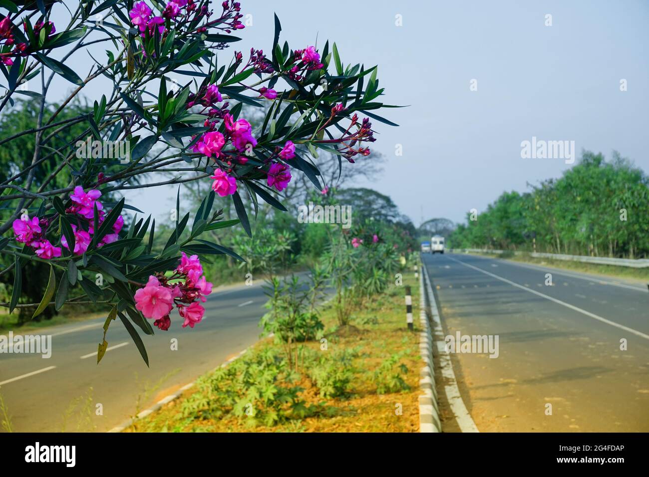 National highway of India with flowers and green leaves entering the