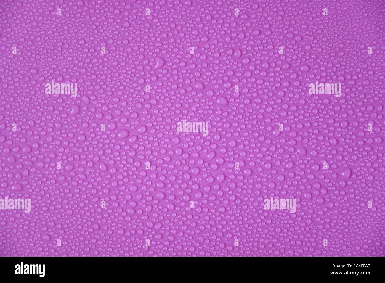 Water drops on a purple background. Stock Photo