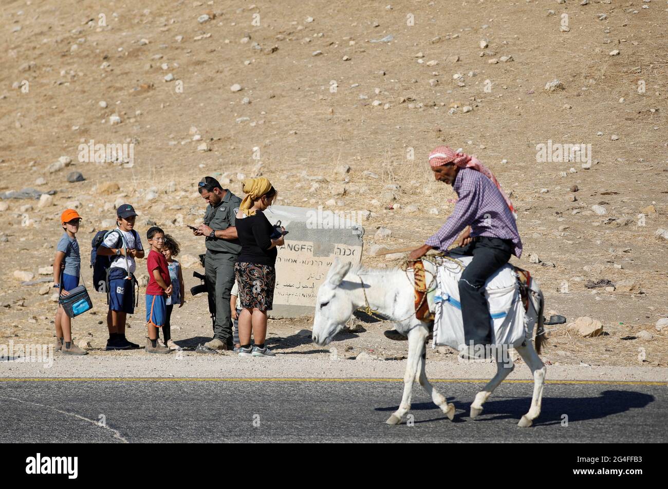 settlers 3 donkeys settlers 3 donkeys