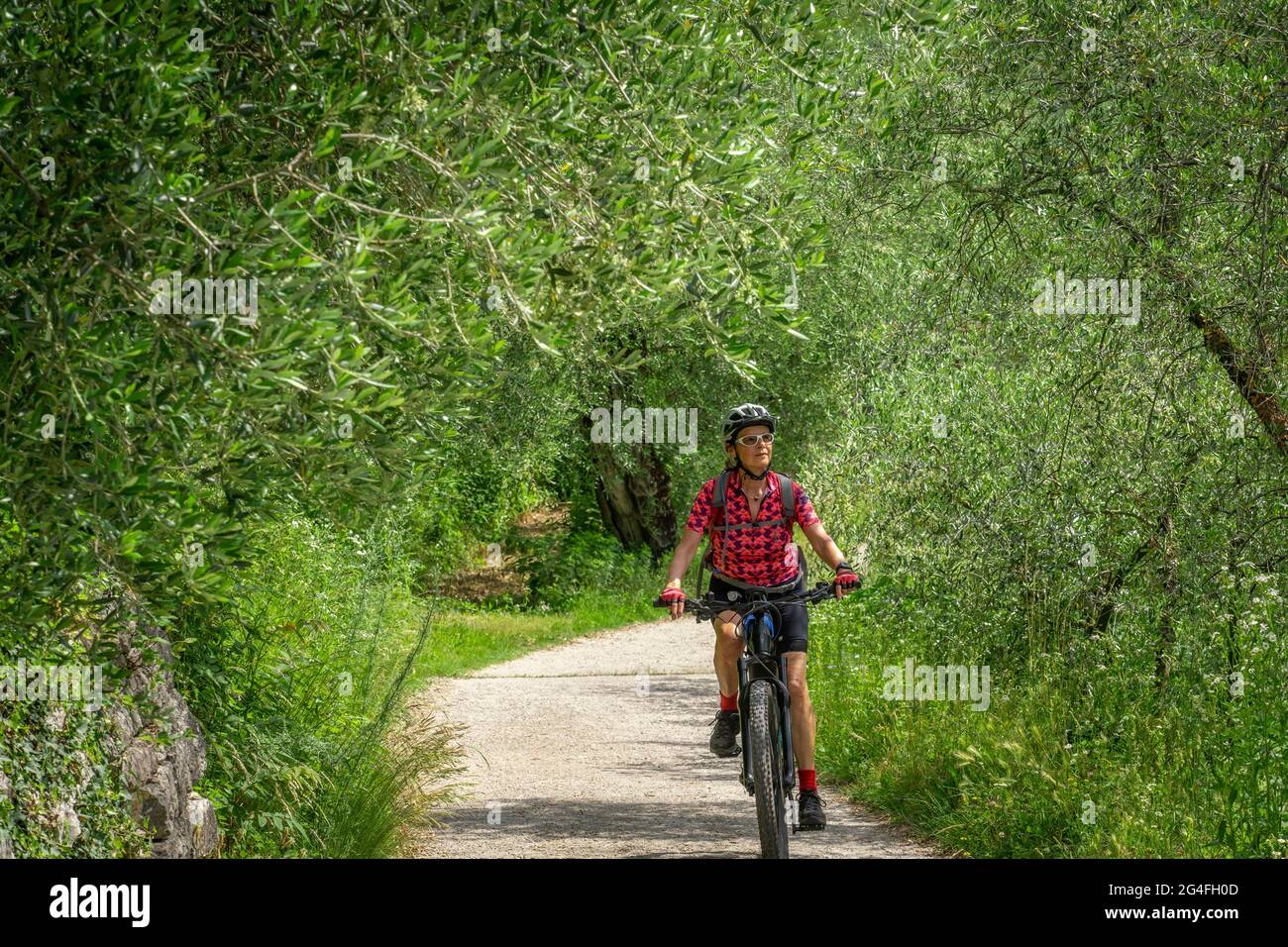 nice and active senior woman riding her electric mountain bike in the Garda  lake mountains between blooming the olive groves of Arco close to Riva del  Stock Photo - Alamy