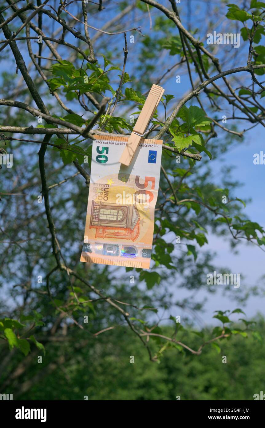 50 euros banknote hanging on tree Stock Photo