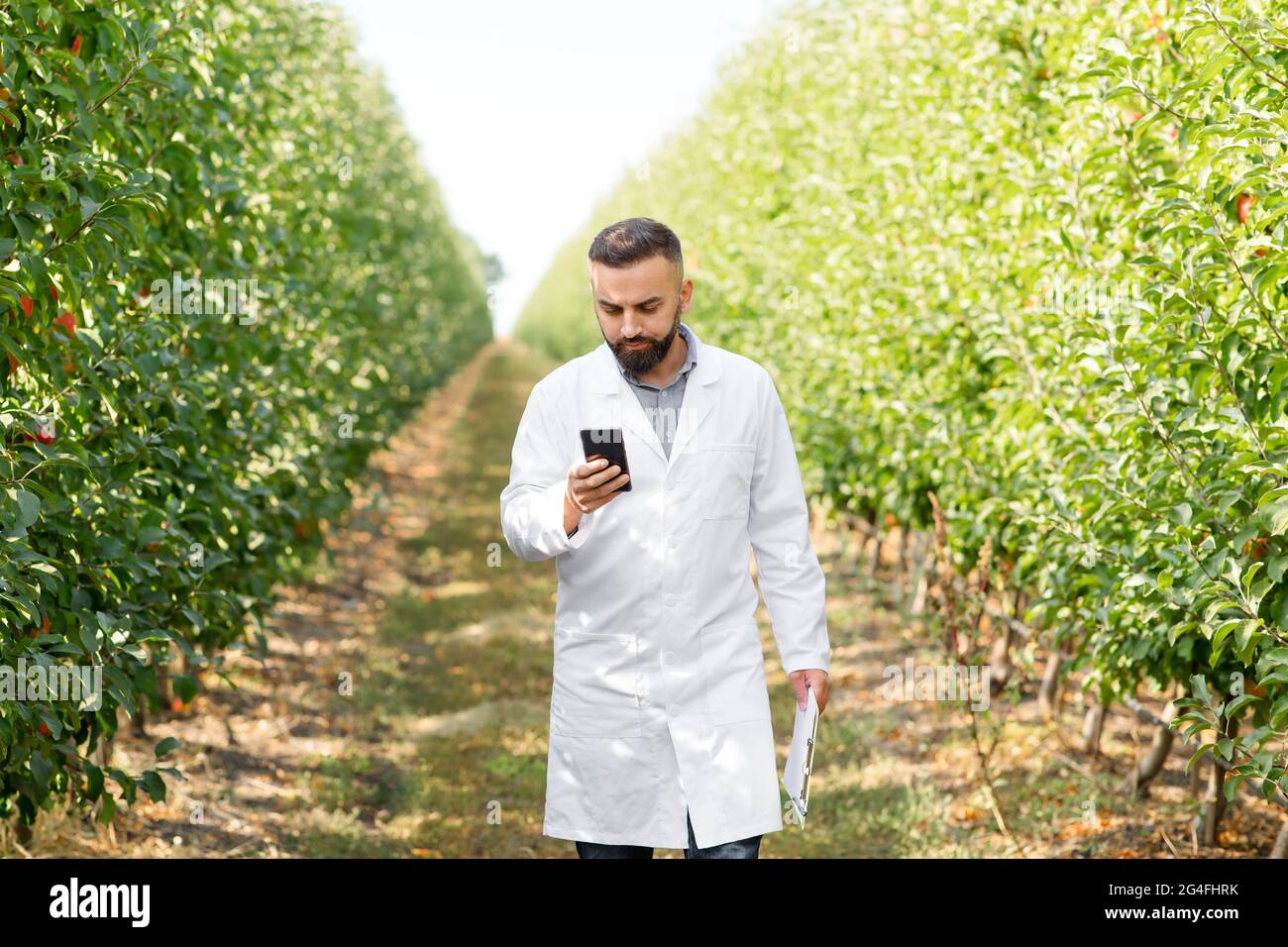 Modern devices for work and inspection, app for agronomist and garden check Stock Photo