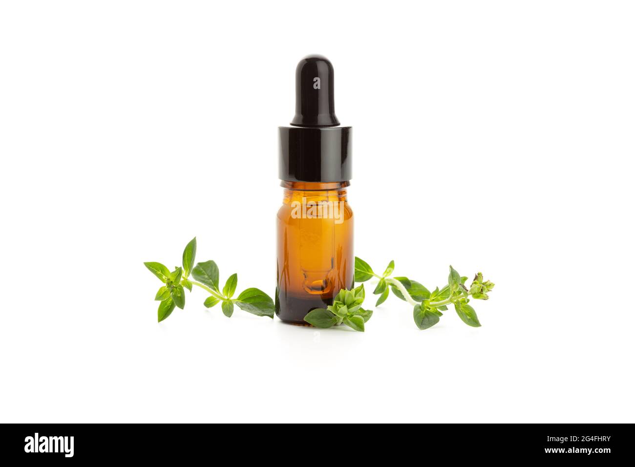 Oregano essential oil and fresh oregano leaves isolated on white background. Origanum vulgare