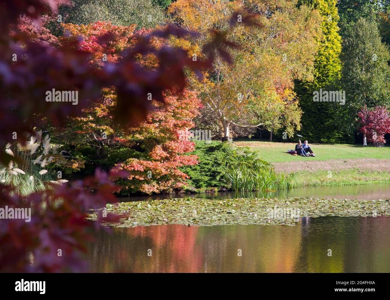 Visitors enjoy the glorious autumnal beauty on display at Sheffield Park and Gardens in East Sussex, England, October 2020.  Famous for its autumn col Stock Photo