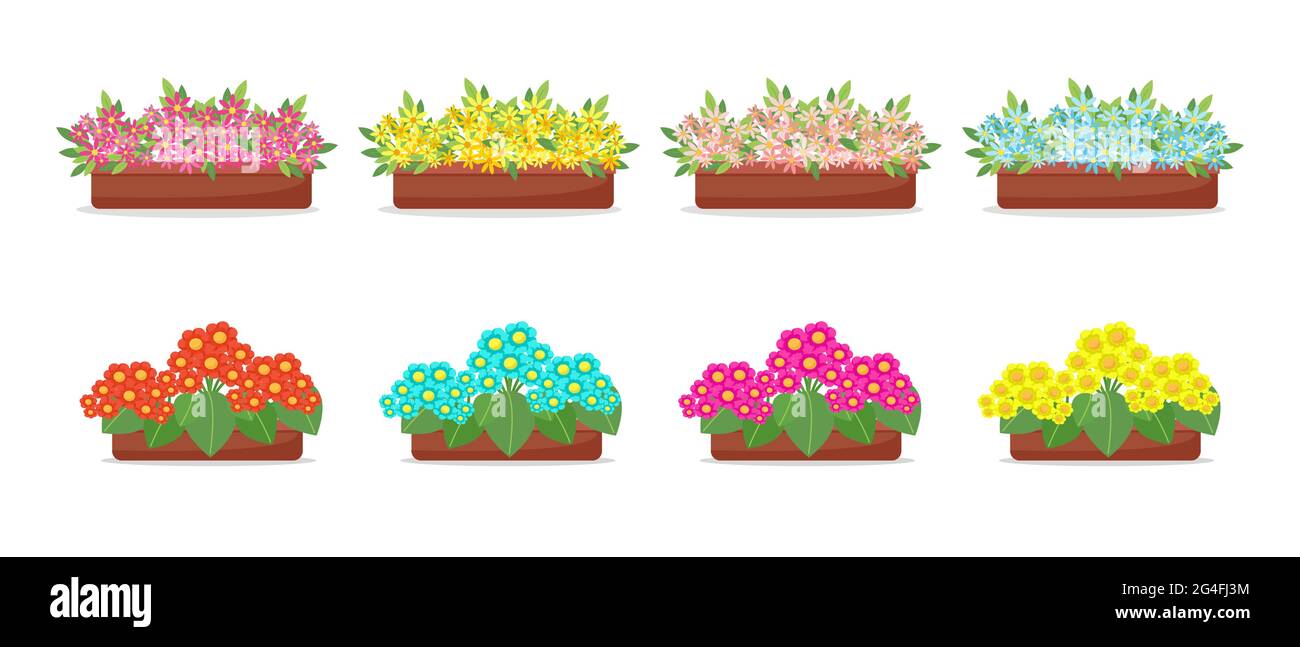 Flowers in pots in flat style set, big collection of spring flowers in boxes, vectors isolated Stock Vector