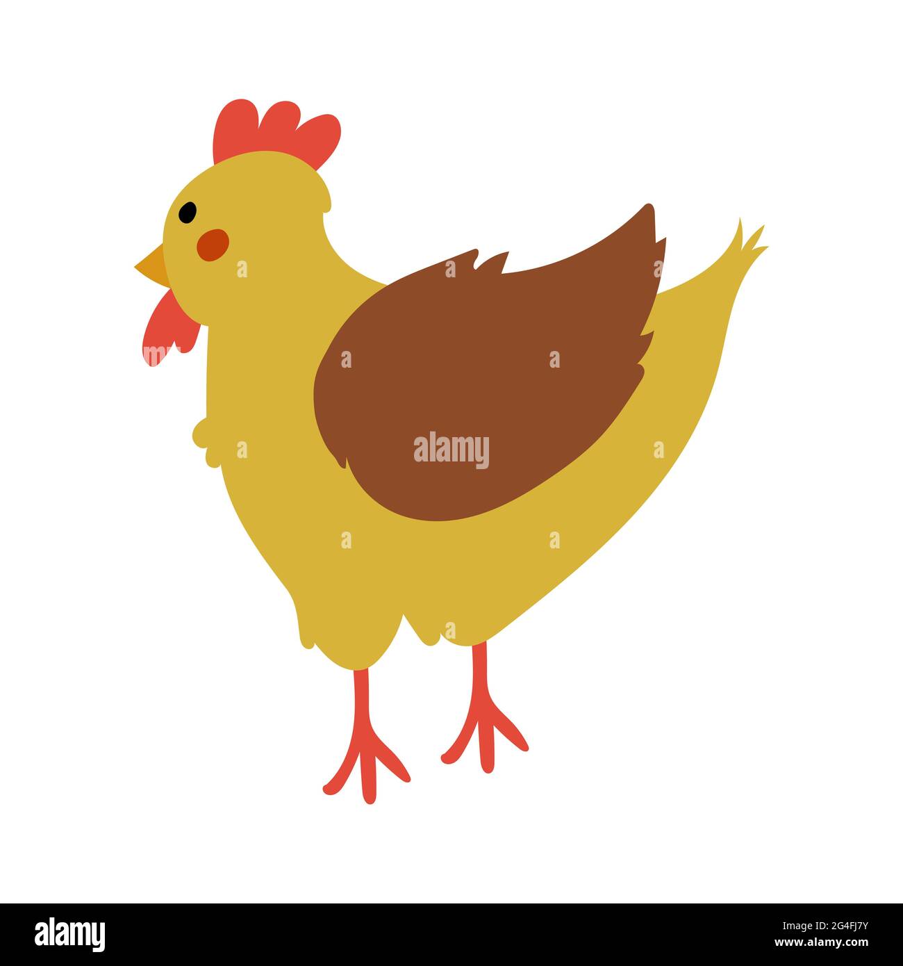 Yellow and Brown hen, poultry breeding vector Stock Vector