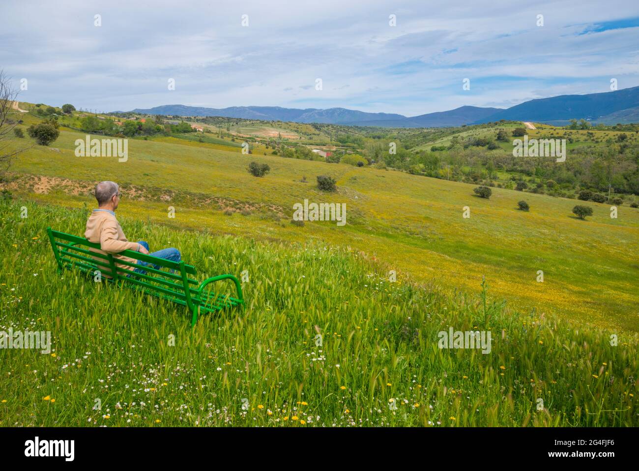 Man sitting in a bench in a meadow. Stock Photo