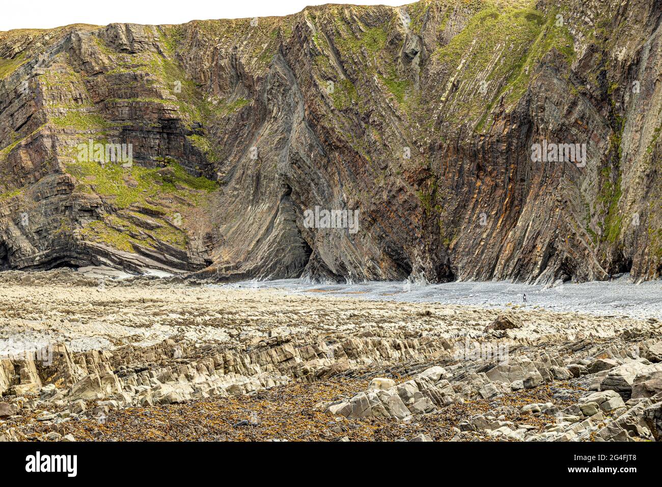 Devonian sedimentary rocks hi-res stock photography and images - Alamy