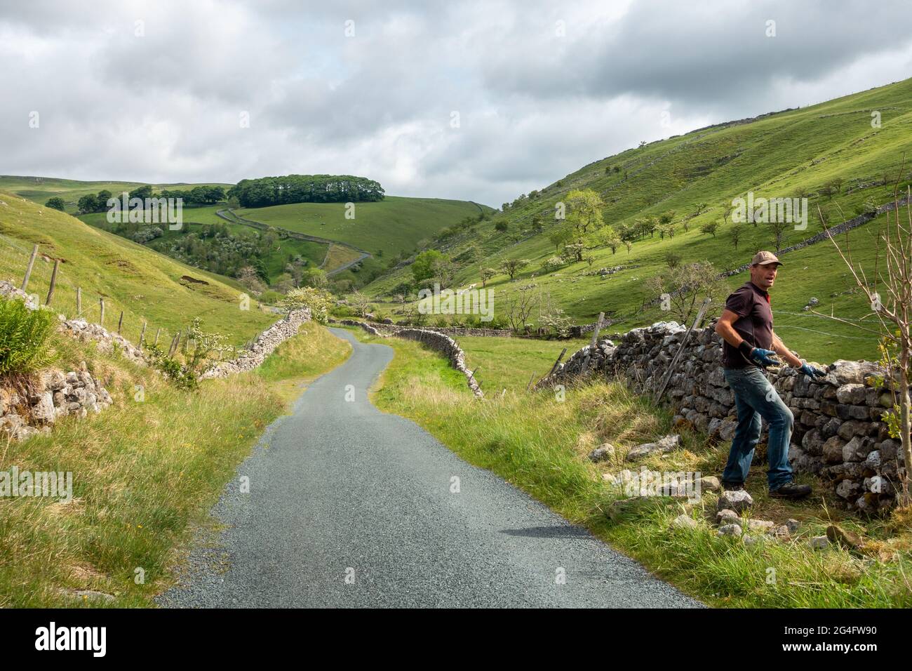 Dry stone waller at work in the Yorkshire Dales National Park with the famous steep cycling hill climb of Park Rash as a backdrop, UK Stock Photo