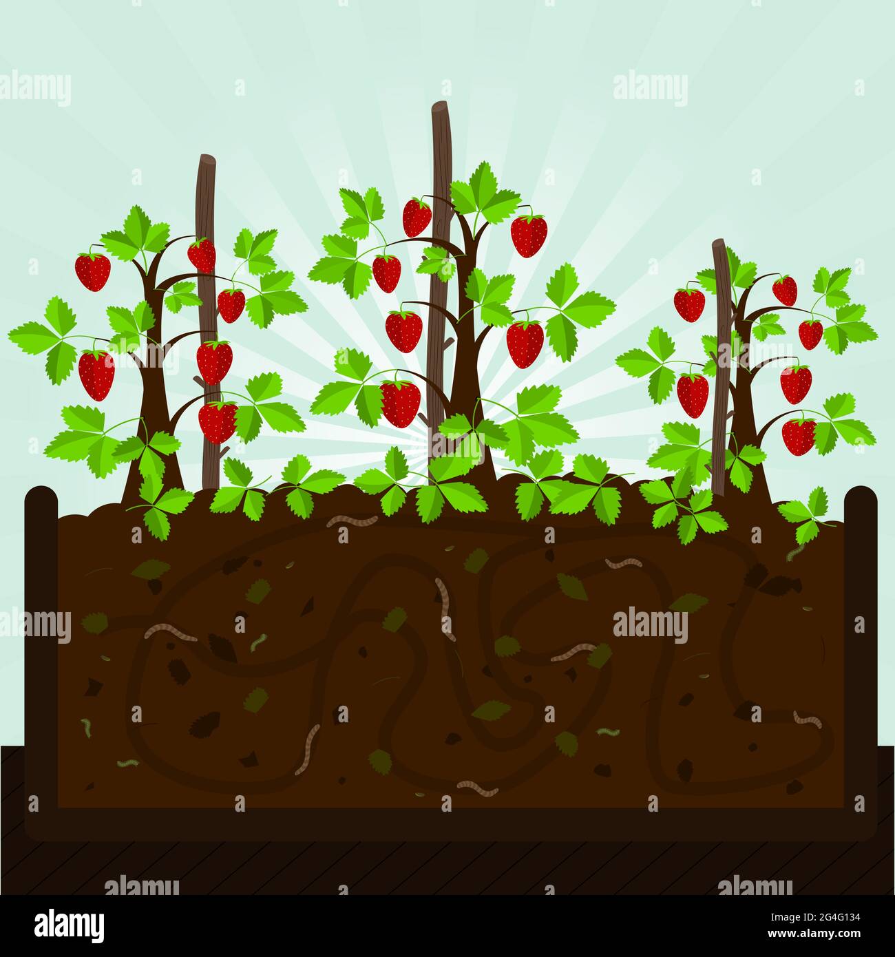 Strawberry trees. Composting process with organic matter, microorganisms and earthworms. Fallen leaves on the ground. Stock Vector