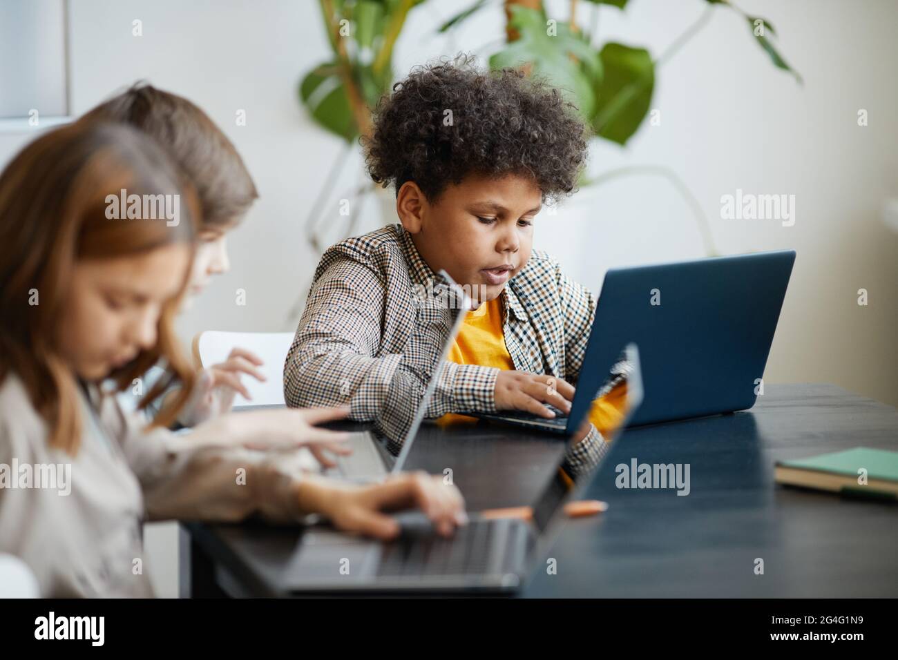 Diverse group of children using computers during IT class in school ...