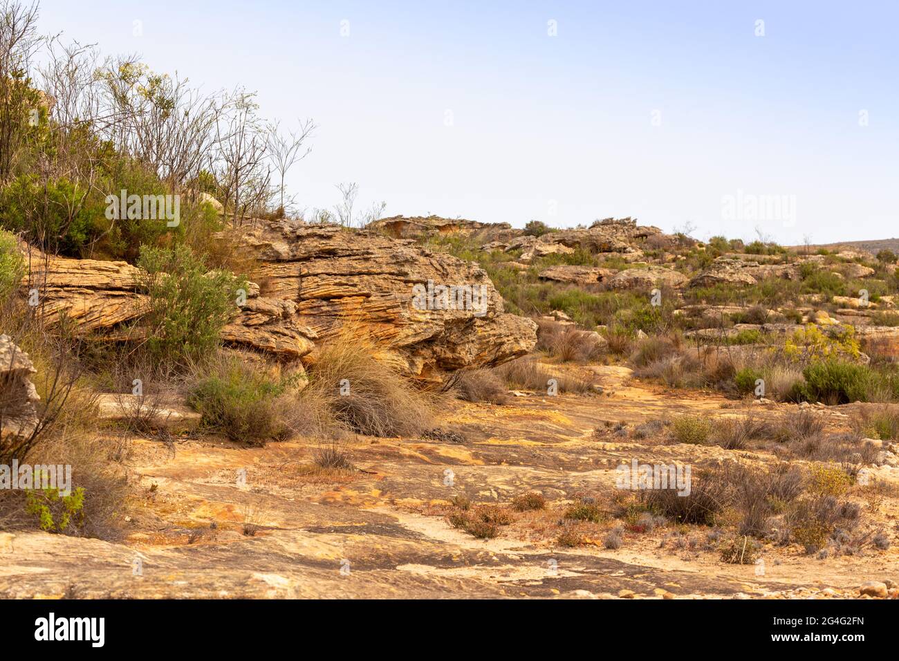 Landscape on Gifberg close to VanRhynsdorp in the Western Cape of South ...