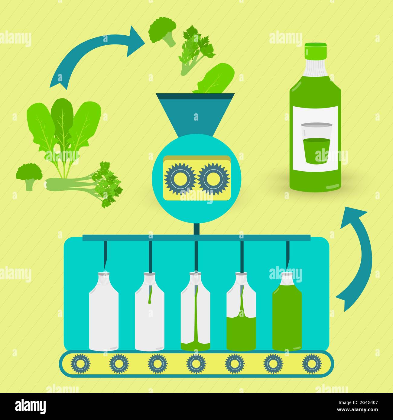 Green juice series production. Fresh green being processed. Bottled green juice. Stock Vector