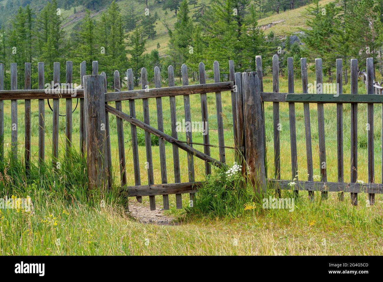 Old Russian wooden fence with a curved wicket. Green grass around and ...