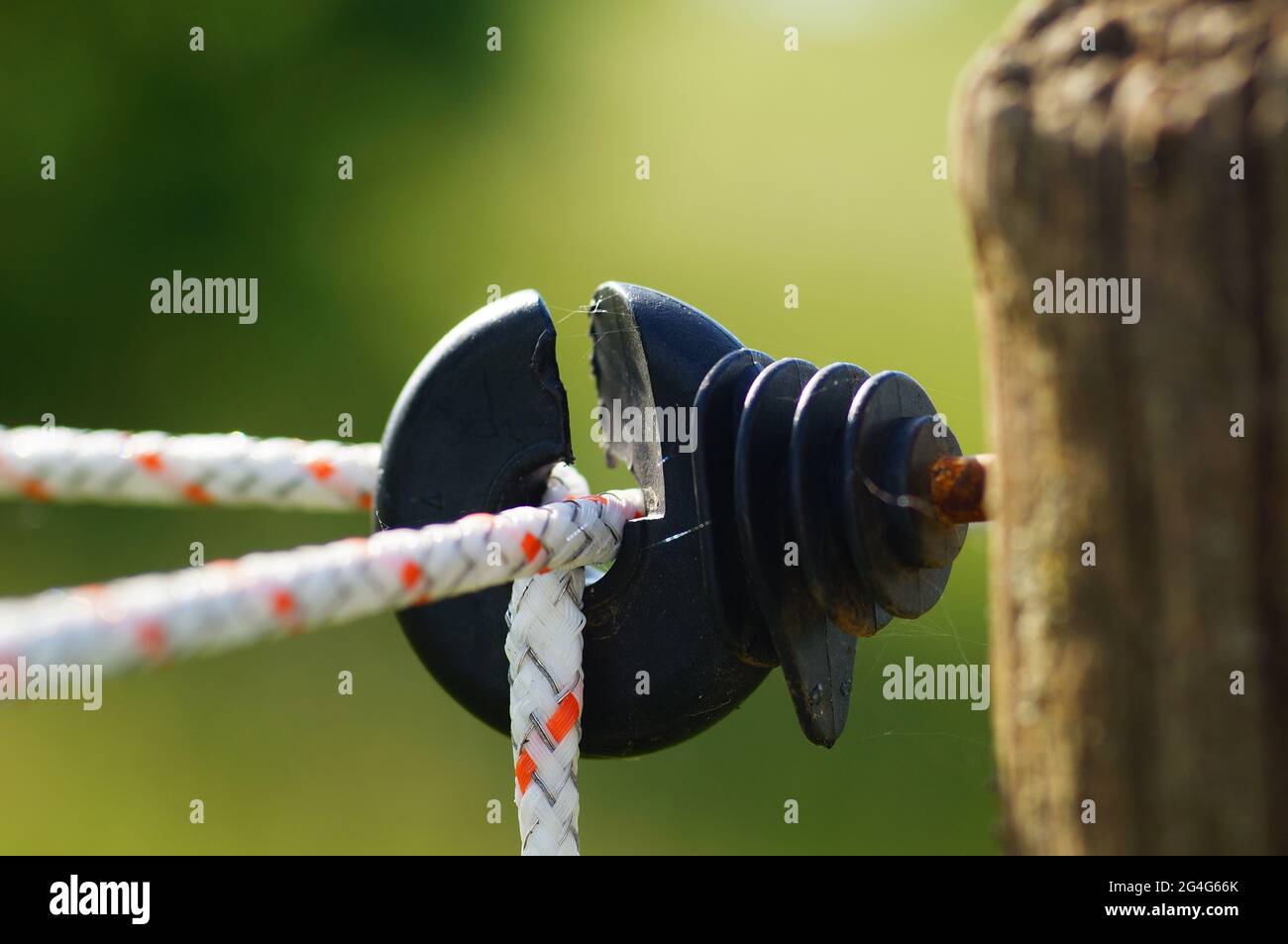 Electric fence horse paddock hires stock photography and images Alamy