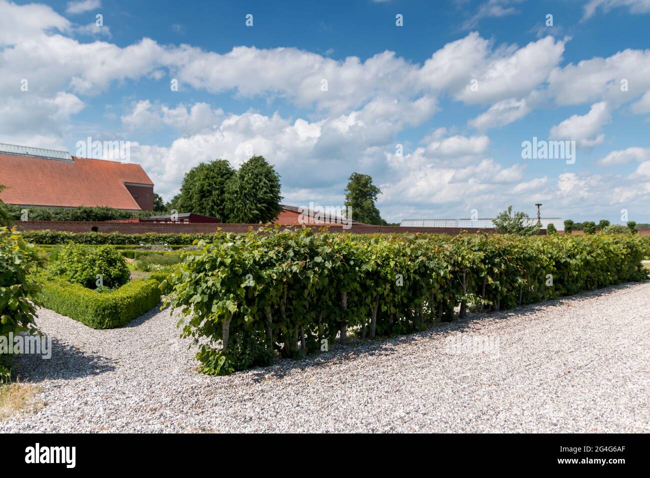 Auning, Garden with herbs and vegetables behind the buildings at Gammel Estrup Castle Stock Photo