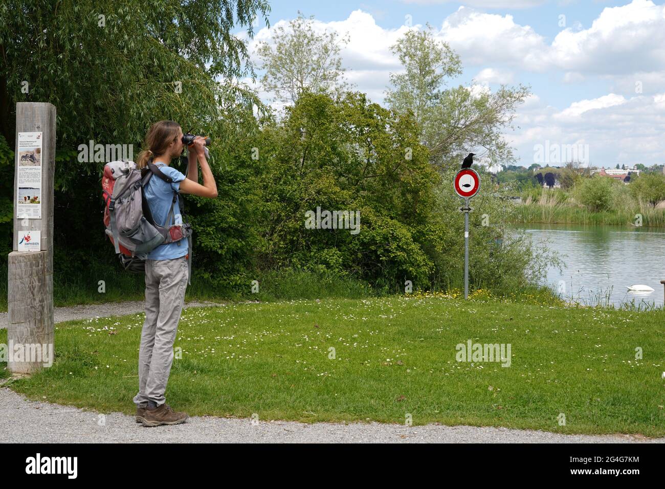 Ornithologist with a backpack is observing a raven with binoculars. The bird is sitting on a signpost prohibiting fishing. Scene from Lake Constance. Stock Photo