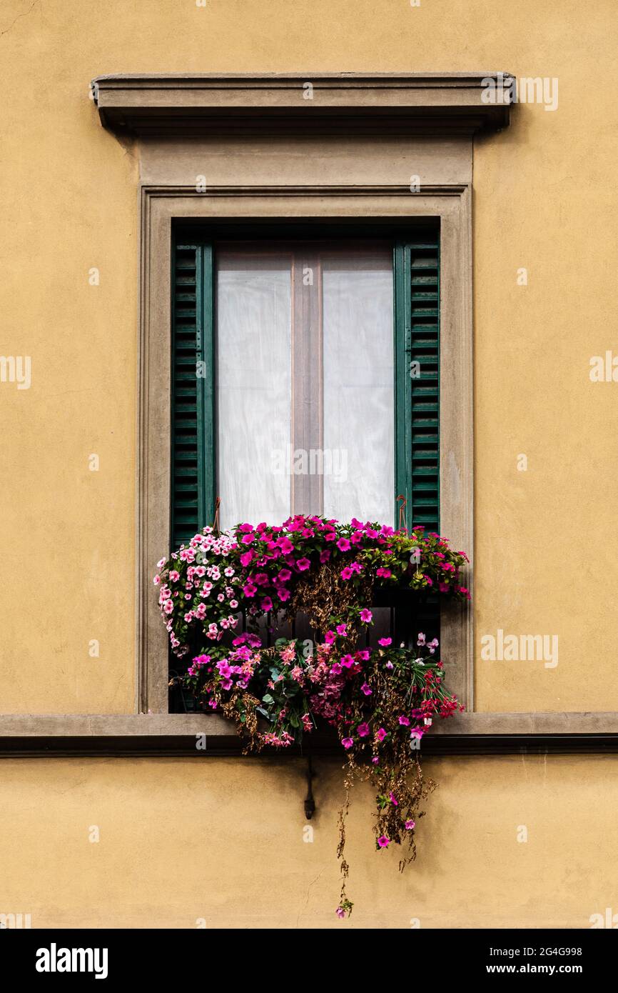 A window box filled with pink flowers, yellow stucco wall Stock Photo ...