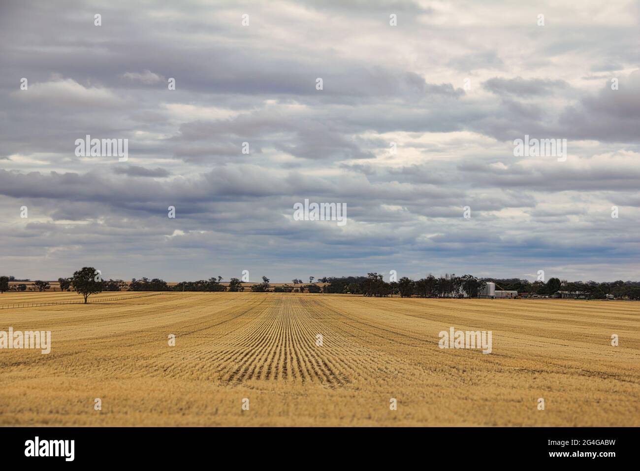 View of farmland along Dukes Highway in rural area of Victoria, Australia Stock Photo