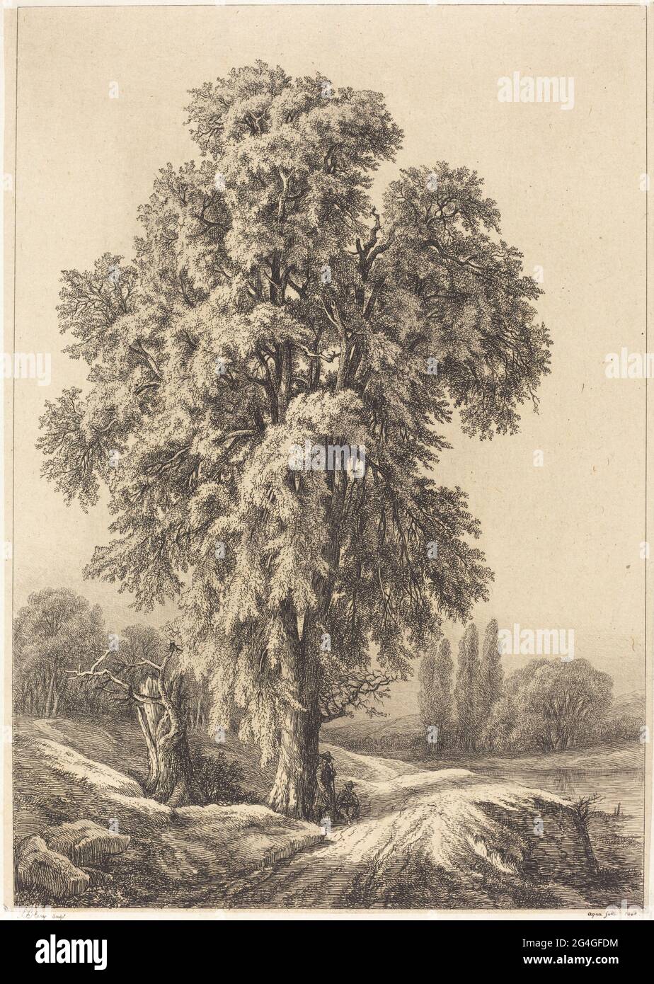 The Elm Tree, 1840 Stock Photo - Alamy