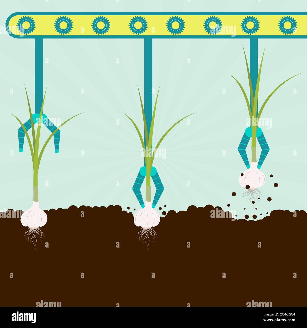 Machine with grippers harvesting garlic. Series harvest Stock Vector