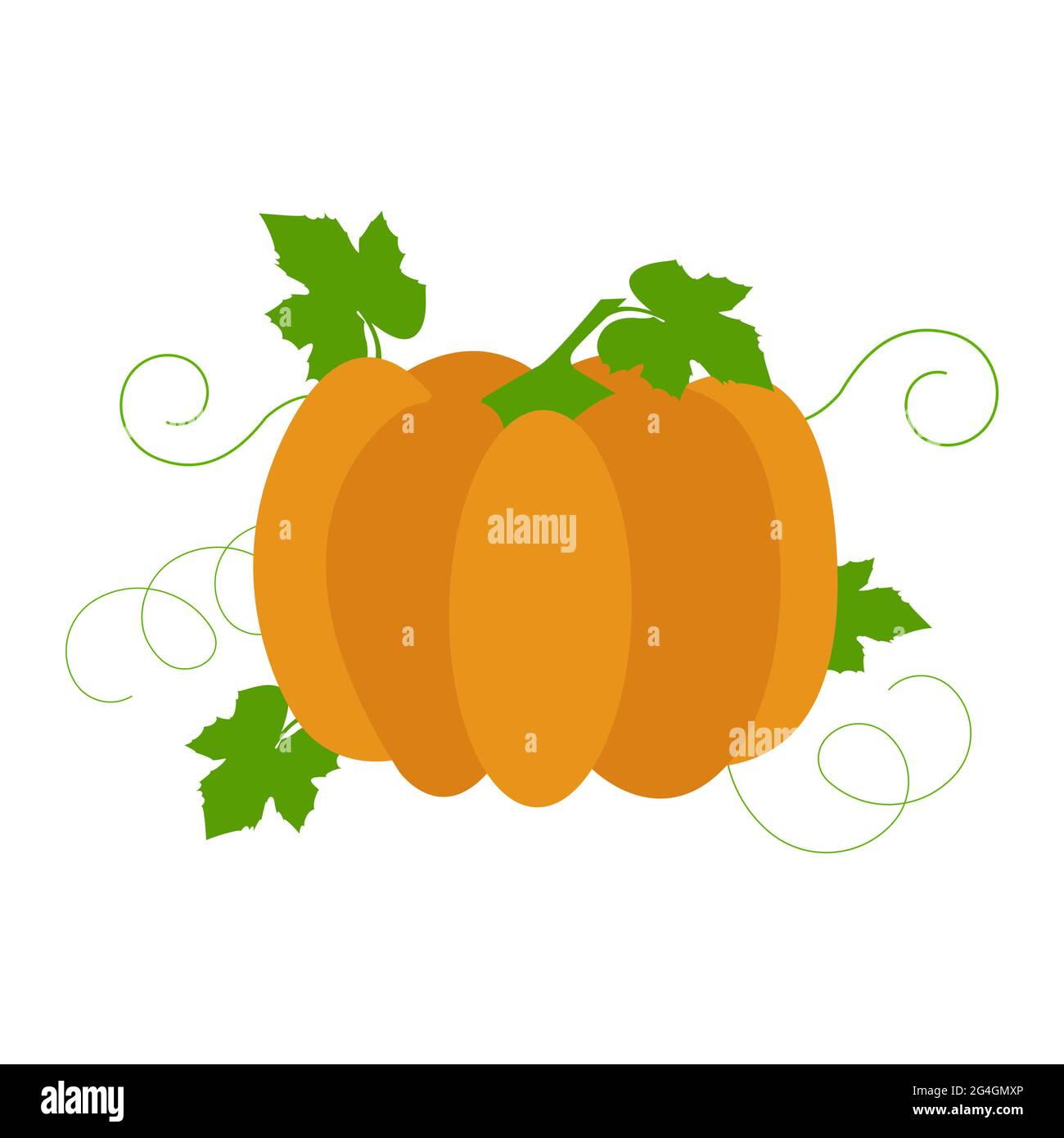 Vector of pumpkin with leaves and small branches. Isolated. White background. Stock Vector