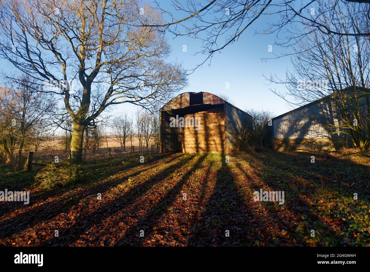 Barn full of hay in dramatic winter lighting with long shadows Wiltshire Stock Photo