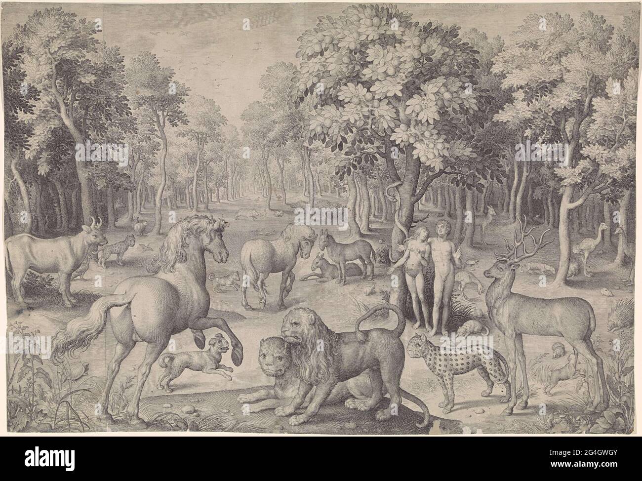 Tree Of Knowledge Of Good And Evil High Resolution Stock Photography ...