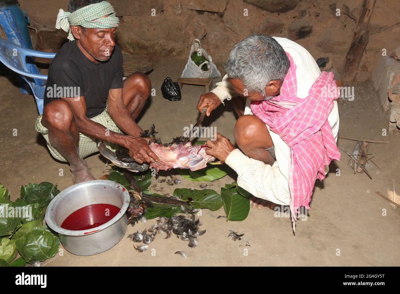 LANJIA SAORA TRIBE. Sacrificing a cock is one of the ritual of Idital ceremony. Puttasingh village in Odisha, India Stock Photo
