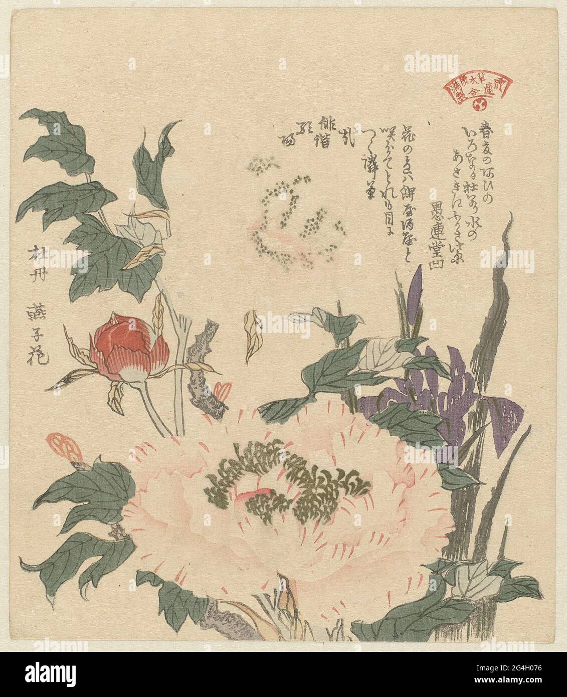 . Blooming peonies and irises. With two poems. The print is a B copy ...