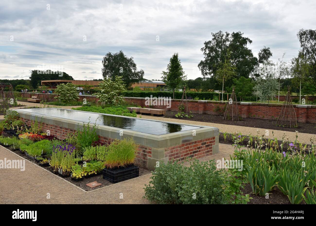 Plants and pond, RHS Bridgewater gardens, Salford, Manchester Stock Photo Alamy