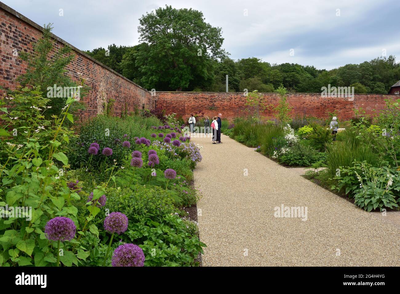 Flowers, RHS Bridgewater gardens, Salford, Manchester Stock Photo Alamy