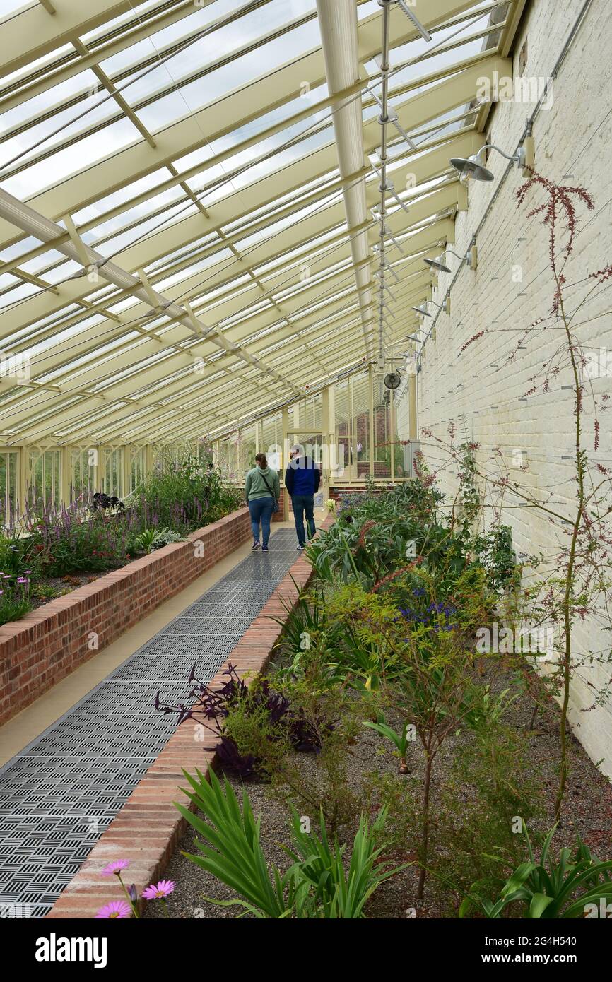 The Mediterranean House, RHS Bridgewater gardens, Salford, Manchester ...