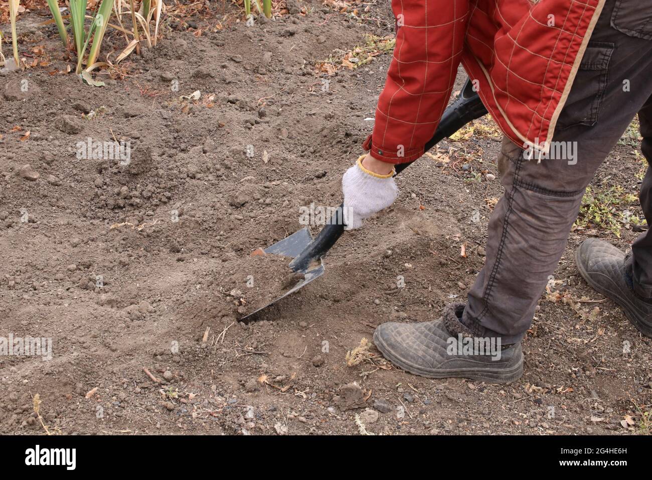 Gardener digging isolated hi-res stock photography and images - Page 2 -  Alamy