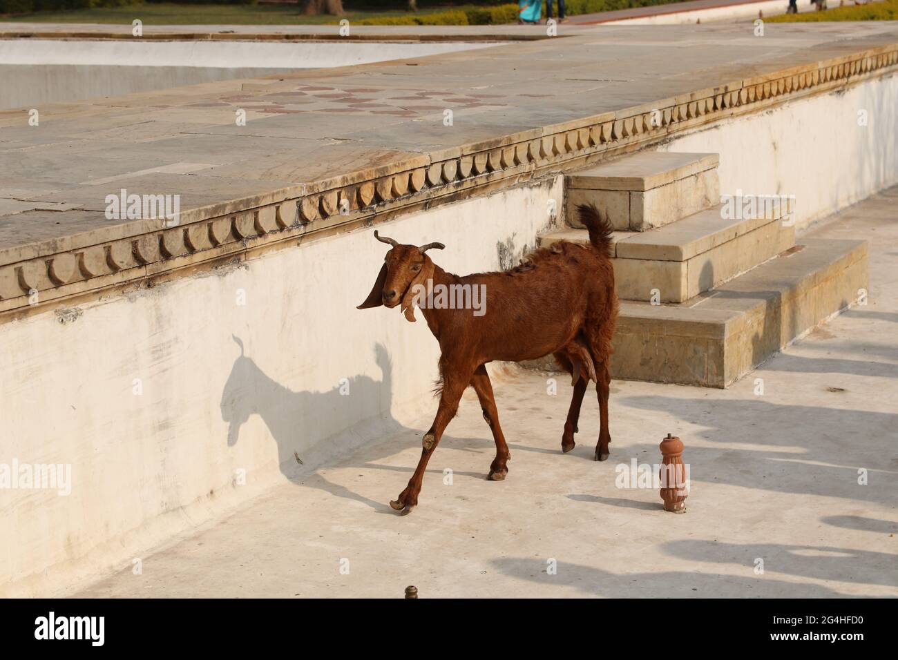 Jaipur india amer fort stairs hi-res stock photography and images - Alamy