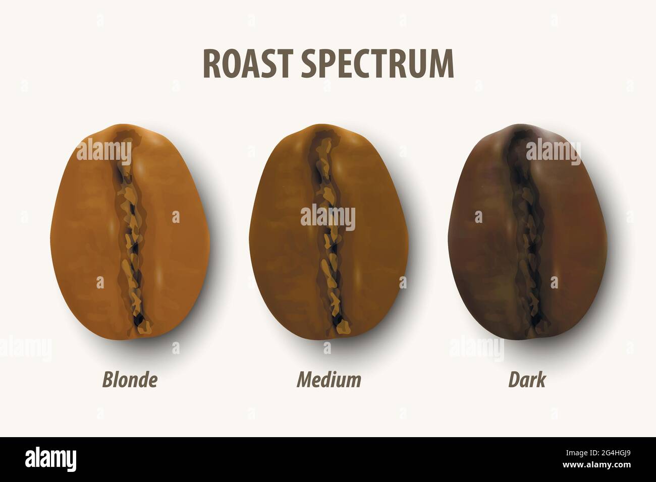Three Stage Roasting Coffee. Vector 3d Realistic Coffee Beans. Textured Roasted Coffee Bean Set, Roast Spectrum, Degree of Roast Coffee, Icon Set Stock Vector