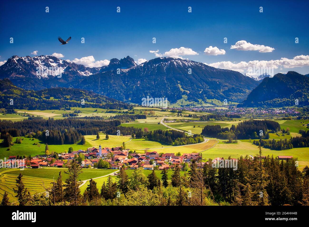 DE - BAVARIA: Alpine landscape at Zell near Eisenberg in the Allgaeu region Stock Photo