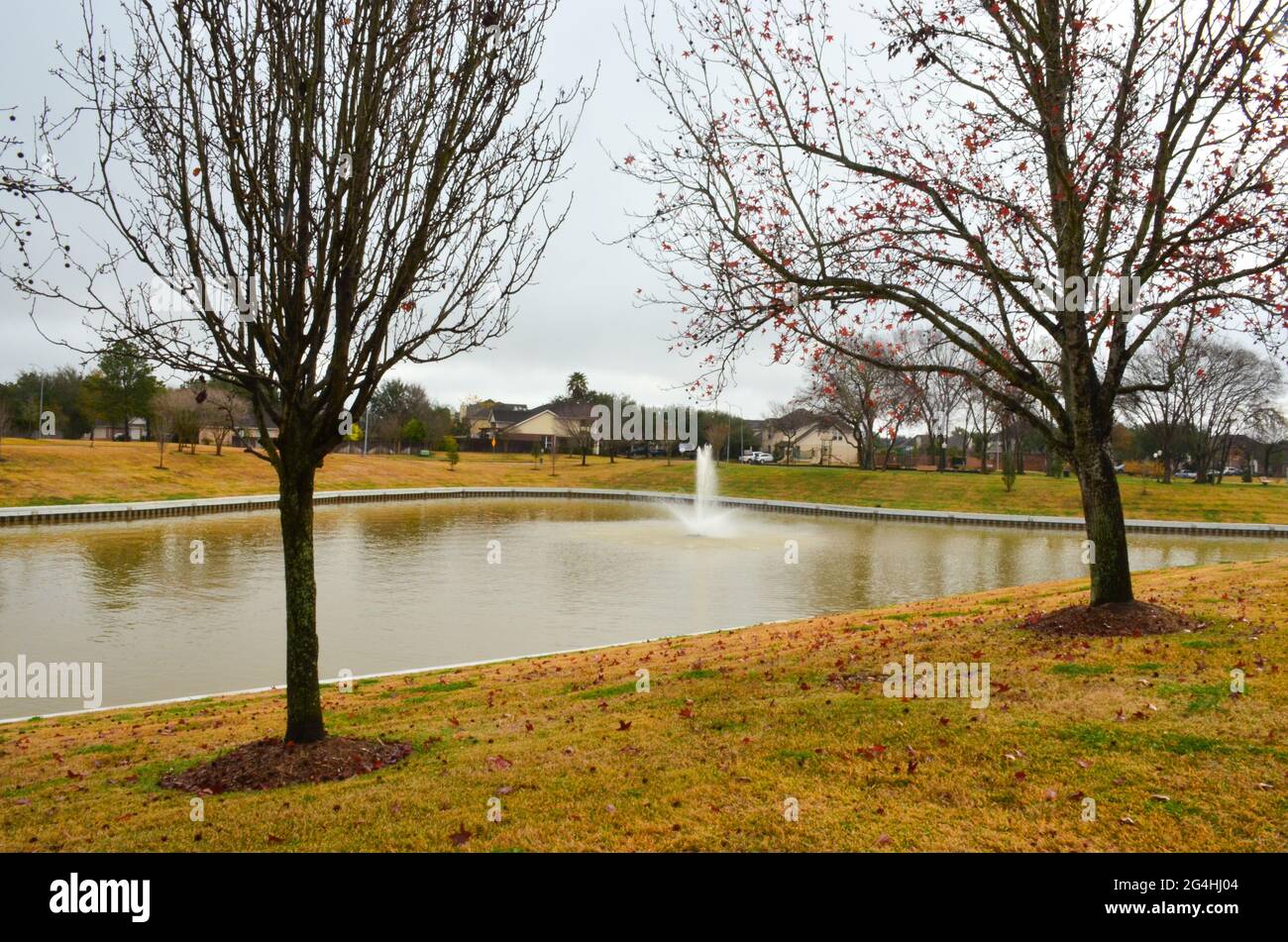 Early morning neighborhood walks after the rain. A suburban
