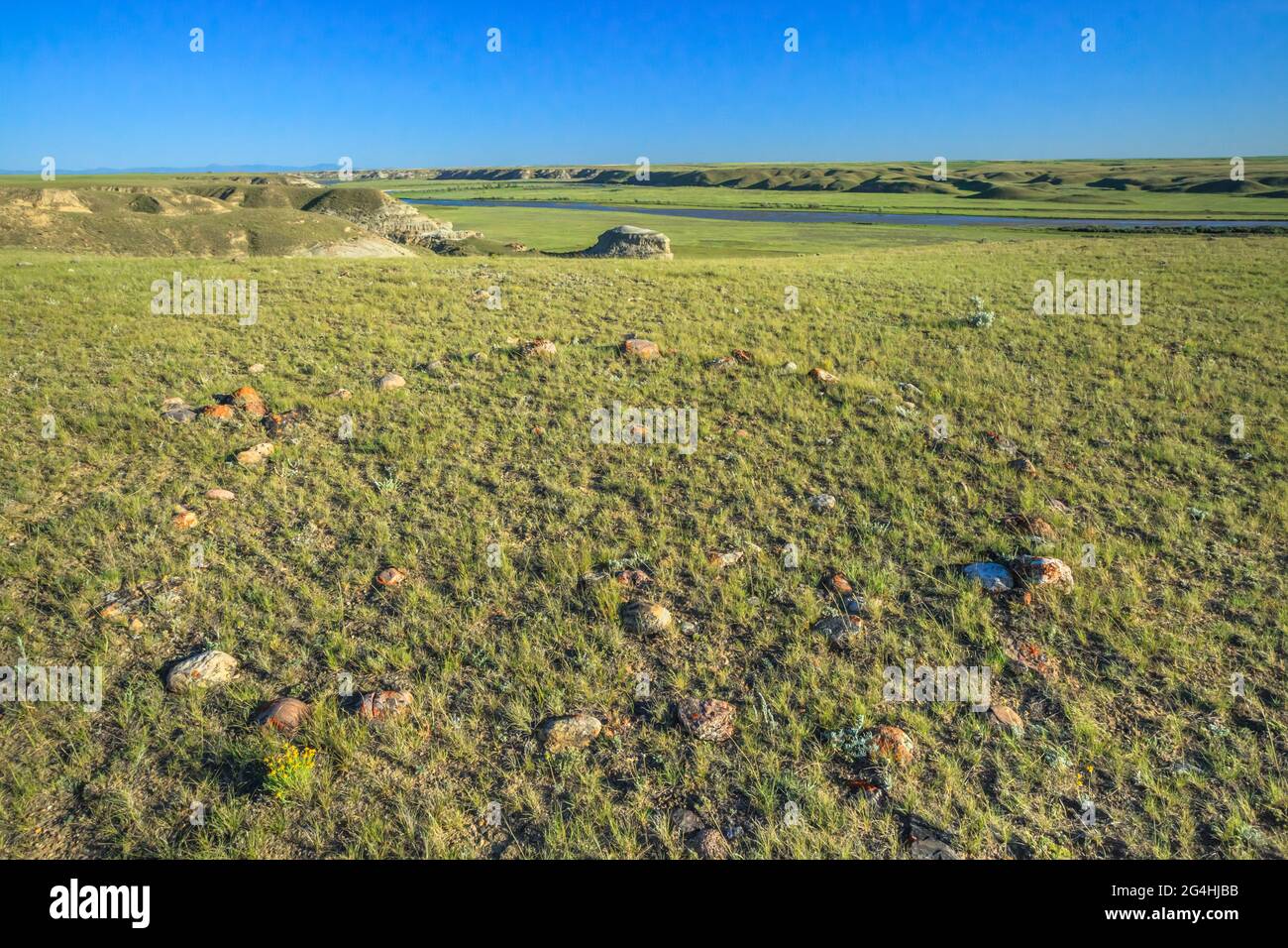 Tipi Rings tipi ring above the milk river valley near havre, montana Stock Photo ...