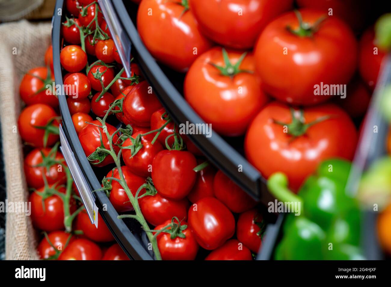 Tomatoes on sale at a supermarket. Stock Photo