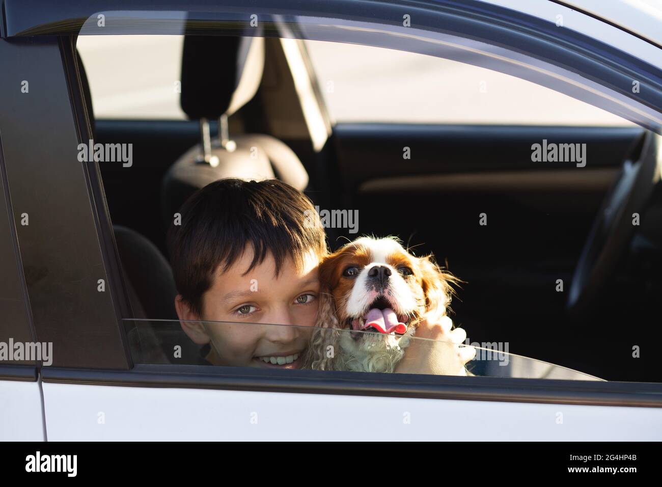 Teenager boy smiling looking through window of car with his dog cavalier king charles spaniel, dreaming to go on a trip Stock Photo
