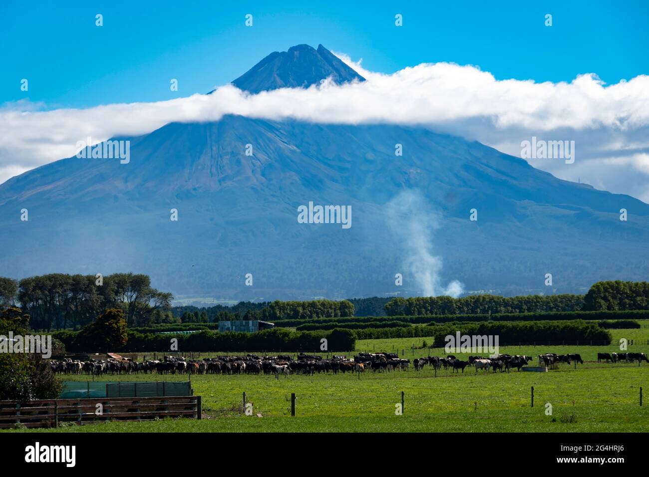 Mount Taranaki (Egmont) and farmland near Eltham, Taranaki, North