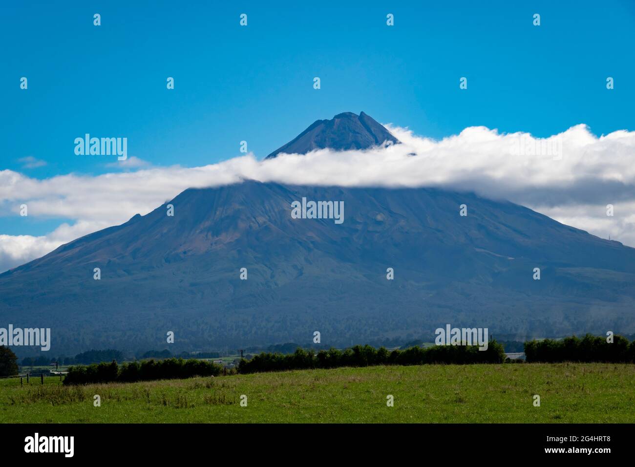 Mount Taranaki (Egmont) and farmland near Eltham, Taranaki, North